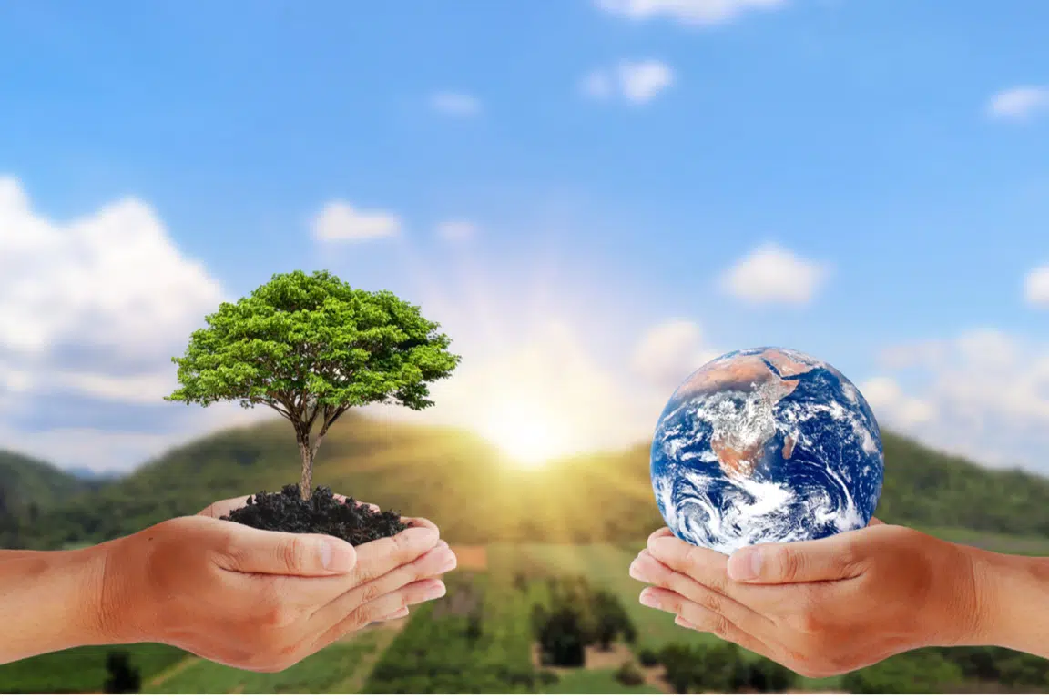 Sustainability image
